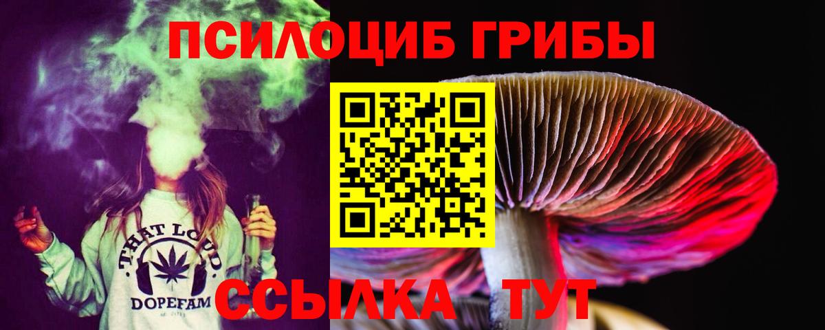 дарнет шоп  Вход с VPN  Якутск  Псилоцибиновые грибы ЛСД  Псилоцибиновые грибы MAGIC MUSHROOMS 